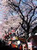 3/20 新川.jpg