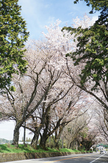 3/20 日光街道@.jpg