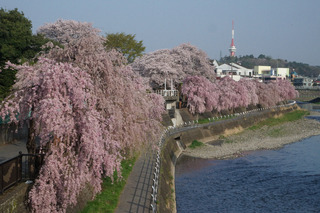 3/20 田川.jpg