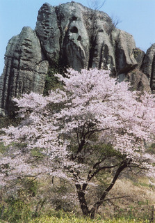 3/24 大谷の奇岩と桜.jpg