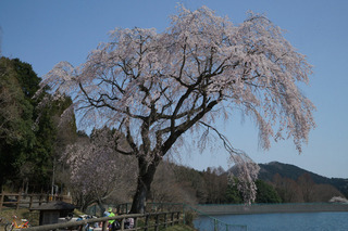 3/24 宇都宮森林公園.jpg