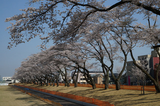 3/24 総合運動公園.jpg