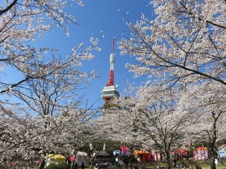 3/26 八幡山.jpg