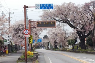 3/31 日光街道.jpg