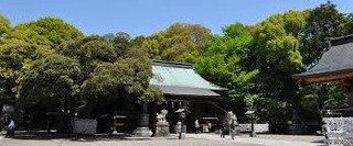 6/2 二荒山の杜.jpg