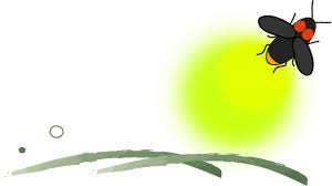6/9 ほたる.png