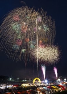うつのみや花火大会 .jpg