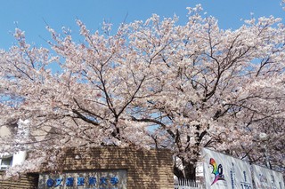 0401 文星芸大.jpg