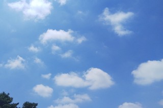 0719 青空.jpg