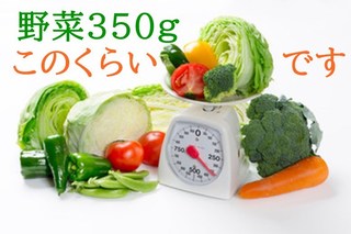 ０８３１　野菜３５０ｇ.jpg