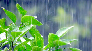 0902 雨.jpg