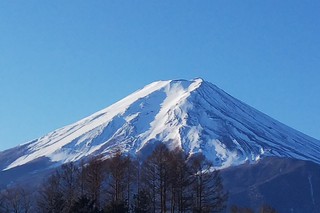 1/4 富士山.jpg