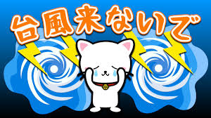 1010 台風.png