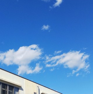 11/12 爽やかな秋空.jpg
