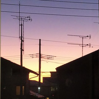 11/15 夕暮れ.jpg