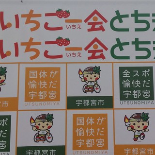 2/26 国体.jpg