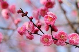 2/4 立春A.jpg