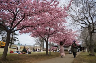 3/15 城址公園.jpg