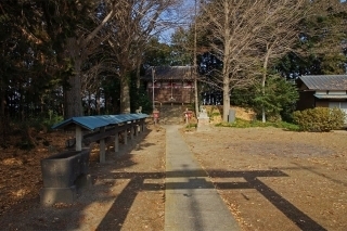 3/17 長良神社 .jpg