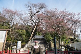 3/18 慈光寺.jpg