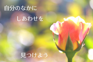 3/20 しあわせ.jpg