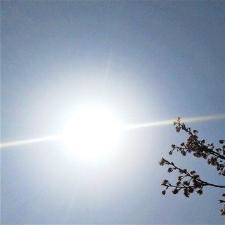 3/22 夏日.jpg
