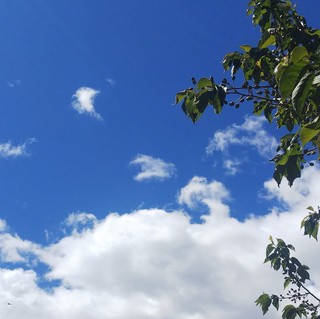 4/19 青空.jpg
