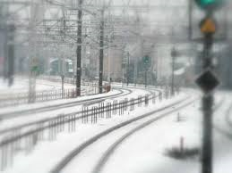 4/2 なごり雪.png