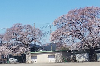 4/6 細谷小E.jpg