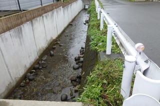 5/14 屋敷堀A.jpg