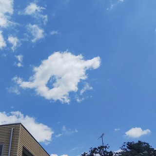5/17 コミセンの空.jpg