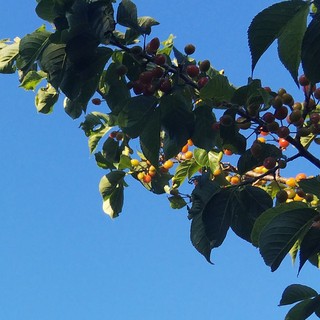 5/7 青空.jpg