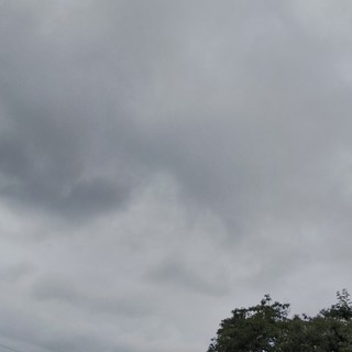 6/23 天候不順.jpg