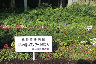8/27 花壇 細谷町.jpg