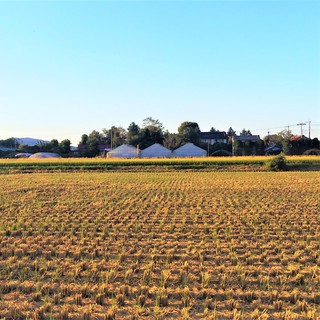 9/16 田園風景.jpg