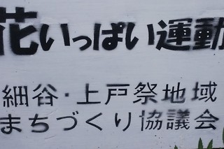 9/7 花いっぱい運動.jpg
