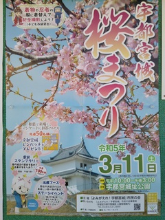 宇都宮城桜まつりポスター