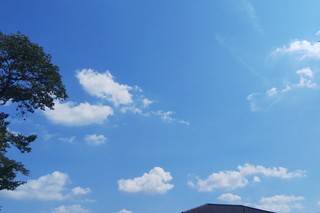 OVPX@ҏ.JPG