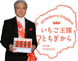 1/15 いちご王国.jpg