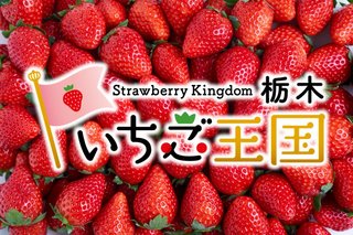 1/15 イチゴの日.jpg
