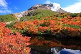 1107 紅葉那須.jpg
