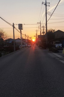 １１１６　夕陽.JPG