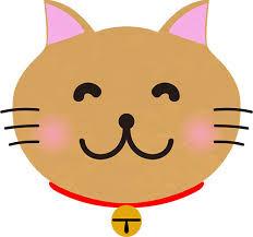 2/1 猫.jpg
