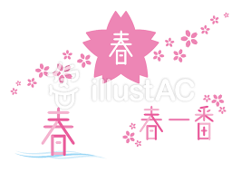 2/16 春一番.png