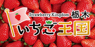2/26 いちご王国HP.png