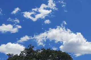 6/17 青い空.jpg
