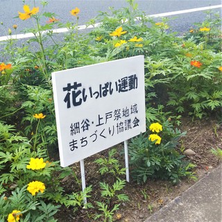 7/11 花いっぱい.jpg