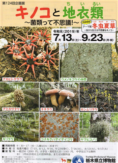 7/3 博物館 企画展.png