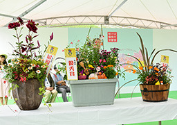 8/11 寄せ植え.jpg